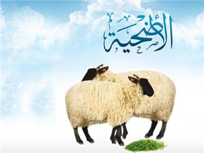 تقبل الله الضحايا