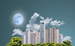 جماجم الجزائريين تحكي حضارة الغرب!