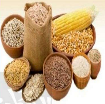 زكاة الفطر طهرة للصائمين وطعمة للمساكين